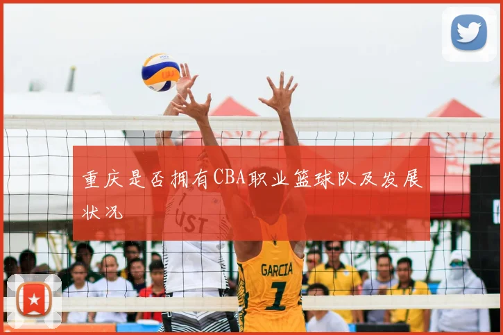 重庆是否拥有CBA职业篮球队及发展状况