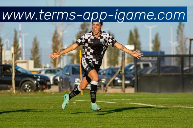 App Interface Preview